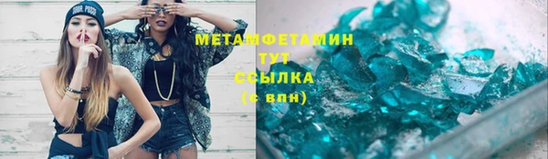 крисы Корсаков
