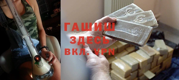 крисы Корсаков