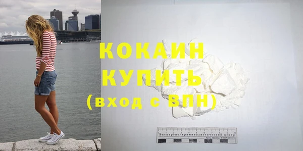 крисы Корсаков