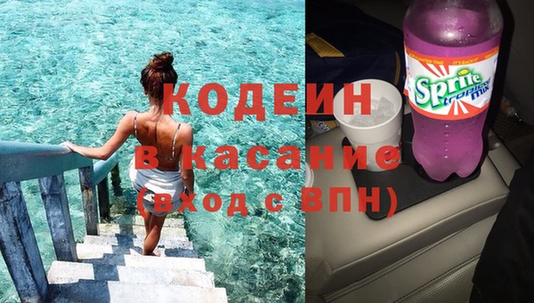 крисы Корсаков