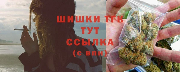 крисы Корсаков