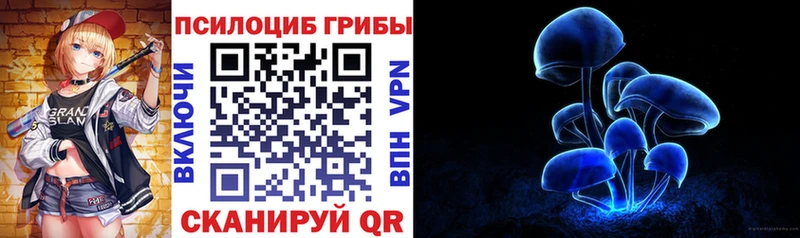 Галлюциногенные грибы Psilocybe  Красный Сулин 
