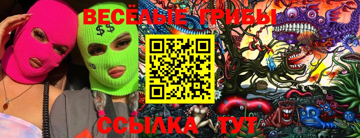 Галлюциногенные грибы Psilocybine cubensis Красный Сулин