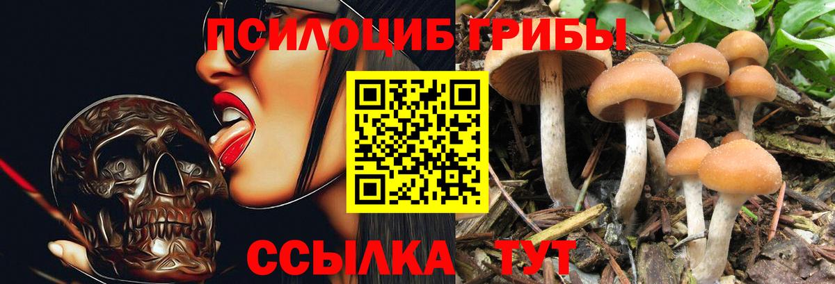 МЕФ кристаллы  Красный Сулин  Бошки Шишки  Cocaine  Вход с VPN  ГАШИШ 