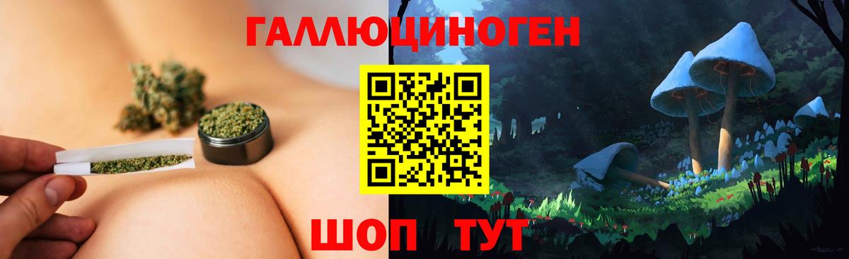 Красный Сулин  Псилоцибиновые грибы Psilocybe  Псилоцибиновые грибы Magic Shrooms  Вход с VPN 